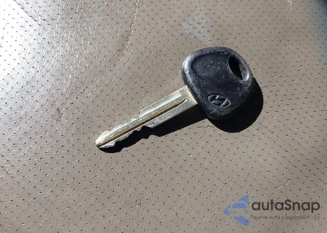 2004 Hyundai Santa Fe Gls/Lx из США, поврежденный, VIN KM8SC13E34U831497